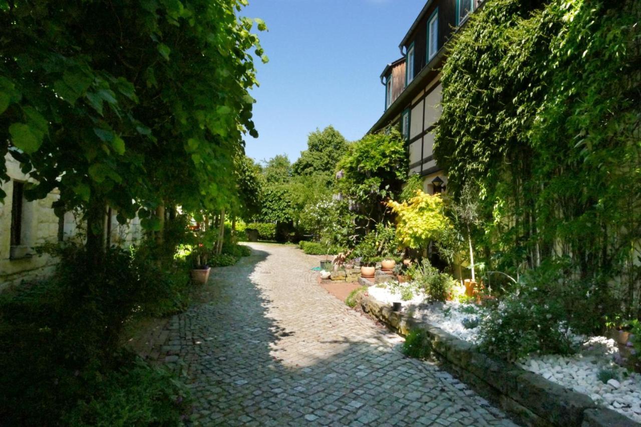 No.5 - Ferienwohnung Schkade Kleingiesshubel Exterior foto