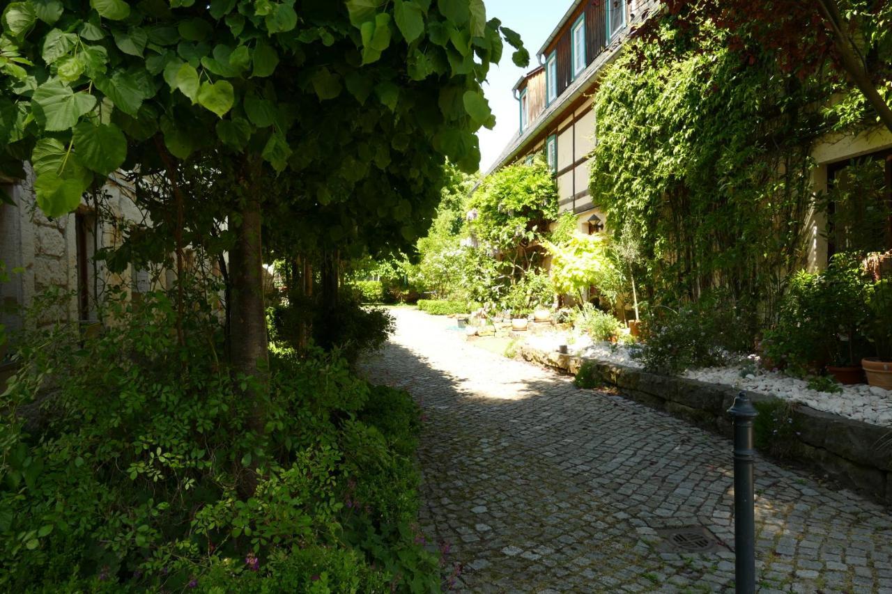 No.5 - Ferienwohnung Schkade Kleingiesshubel Exterior foto
