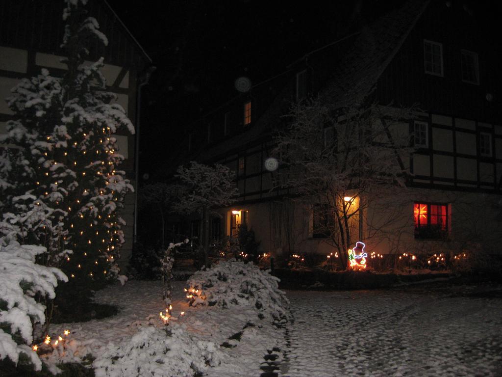 No.5 - Ferienwohnung Schkade Kleingiesshubel Exterior foto